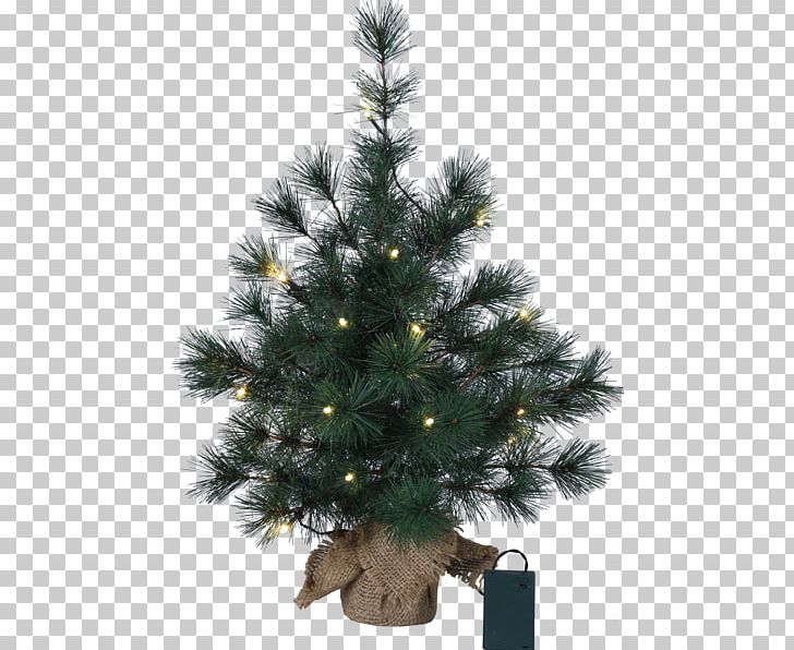 Spruce Christmas Tree Fir Christmas Ornament PNG, Clipart, Advent Wreath, Christmas, Christmas Decoration, Christmas Ornament, Christmas Tree Free PNG Download