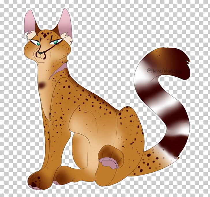Whiskers Cat Dog Mammal Canidae PNG, Clipart,  Free PNG Download