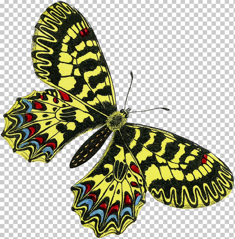 Monarch Butterfly PNG, Clipart, Brushfooted Butterflies, Butterflies, Monarch Butterfly, Moth, Paint Free PNG Download