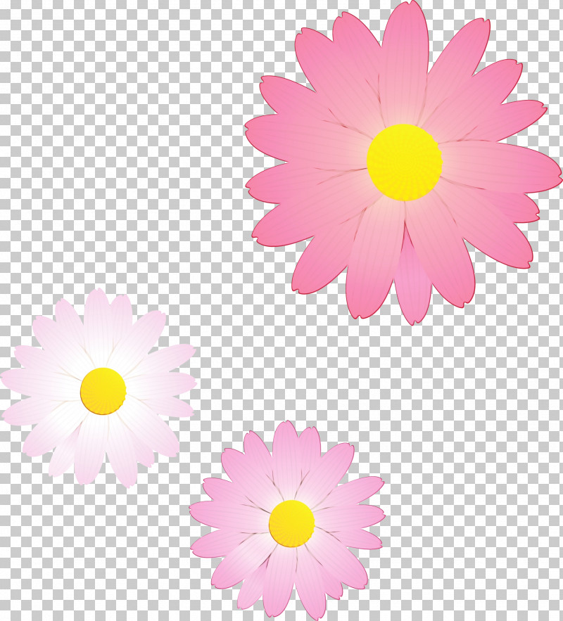 Daisy PNG, Clipart, Aster, Camomile, Chamomile, Daisy, Daisy Family Free PNG Download