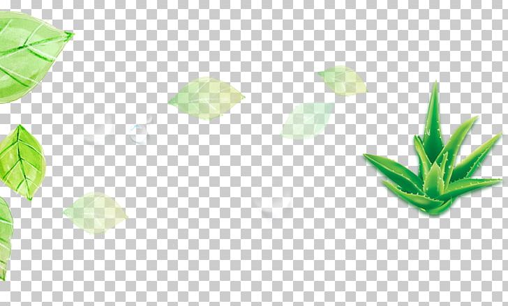 Leaf Aloe Designer PNG, Clipart, Aloe, Angle, Background Green, Decoration, Designer Free PNG Download