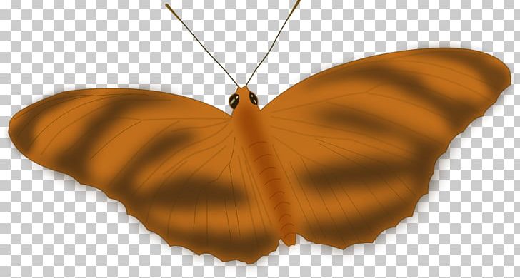 Monarch Butterfly Insect Graphics PNG, Clipart, Arthropod, Brush Footed Butterfly, Butterflies And Moths, Butterfly, Drawing Free PNG Download