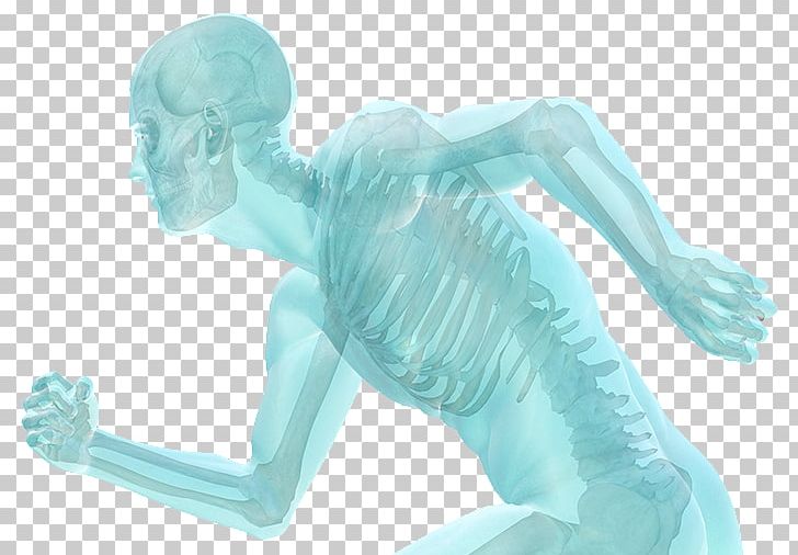 Orthopedic Surgery Therapy Pain Management Medicine PNG, Clipart, Aqua, Arm, Blue, Chiropractic, Figurine Free PNG Download