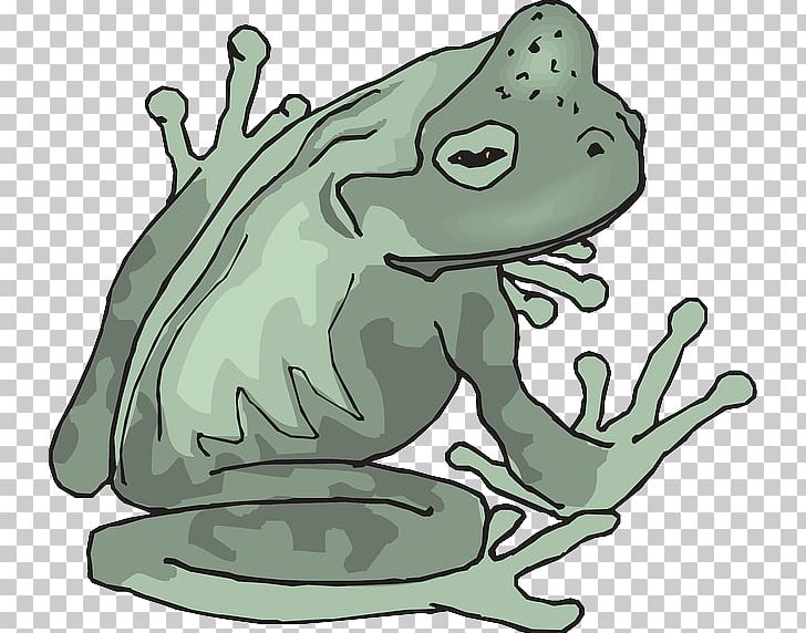 Amphibian True Frog Tropics PNG, Clipart, Amphibian, Animals, Art, Artwork, Cartoon Free PNG Download