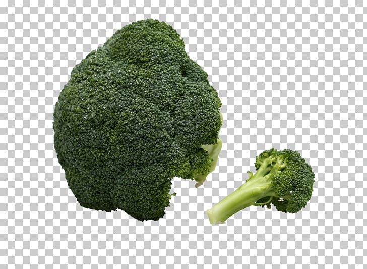 Broccoli Vegetable Immune System PNG, Clipart, Animation, Autoimmune Disease, Background Green, Broccoli, Disease Free PNG Download