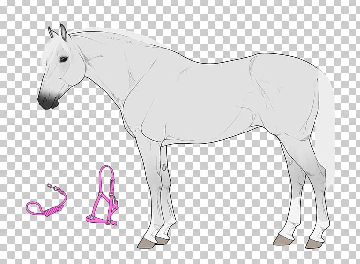 Mane Stallion Mare Foal Mule PNG, Clipart, Black And White, Bridle, Canter And Gallop, Color, Colt Free PNG Download