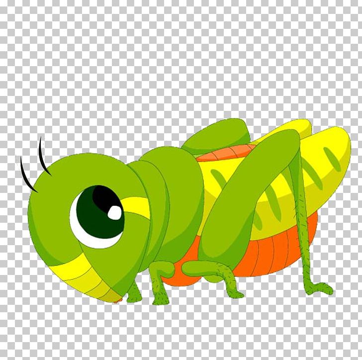 Plagues Of Egypt Locust Stock Photography PNG, Clipart, Amphibian, Cartoon, Fauna, Fictional Character, Grasshopper Free PNG Download