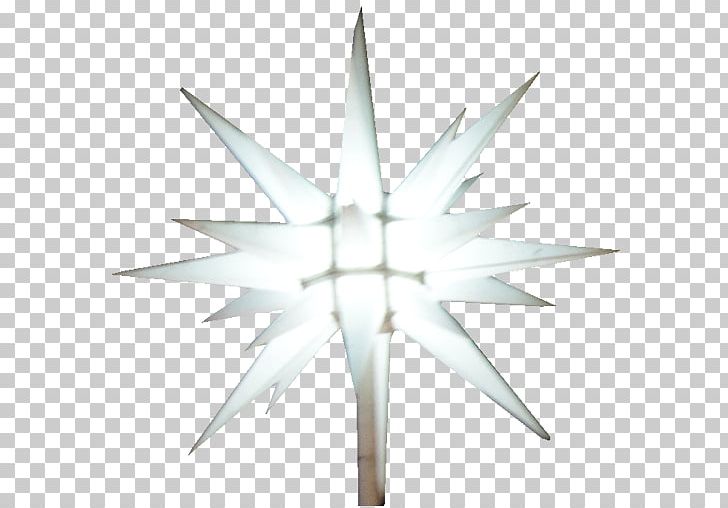 Symmetry Angle Star PNG, Clipart, Angle, Star, Symmetry Free PNG Download