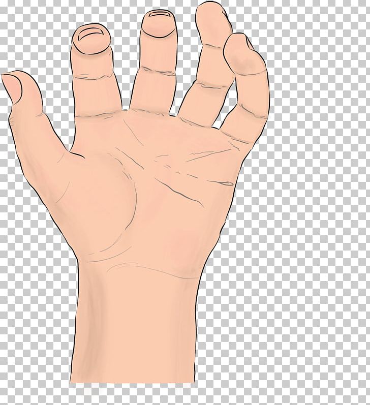 Thumb Hand Model Glove Safety PNG, Clipart, Arm, Finger, Glove, Hand, Hand Made Free PNG Download