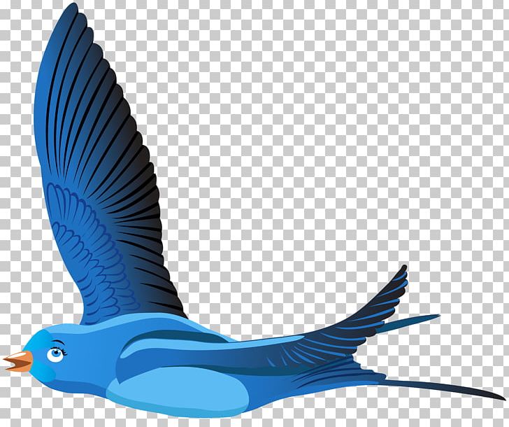 Bird Cartoon PNG, Clipart, Beak, Bird, Bird Nest, Blue, Blue Bird Free PNG Download