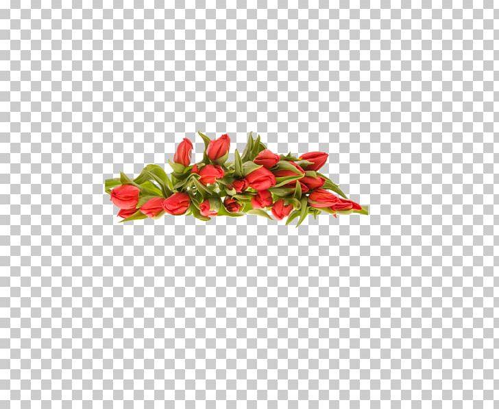 Flower Bouquet Desktop PNG, Clipart, Bell Peppers And Chili Peppers, Birds Eye Chili, Cayenne Pepper, Chili Pepper, Cut Flowers Free PNG Download