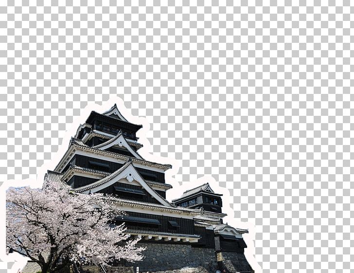 Kumamoto Castle Europe Cherry Blossom Teaching English As A Second Or Foreign Language PNG, Clipart, Ancient, Black And White, Blossoms, Build, Buildings Free PNG Download