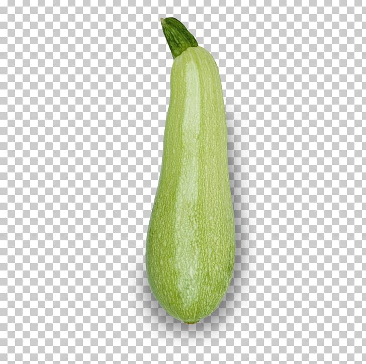 Chayote Wax Gourd Summer Squash Winter Squash Cucumber PNG, Clipart, Chayote, Cucumber, Cucumber Gourd And Melon Family, Cucumis, Cucurbita Free PNG Download