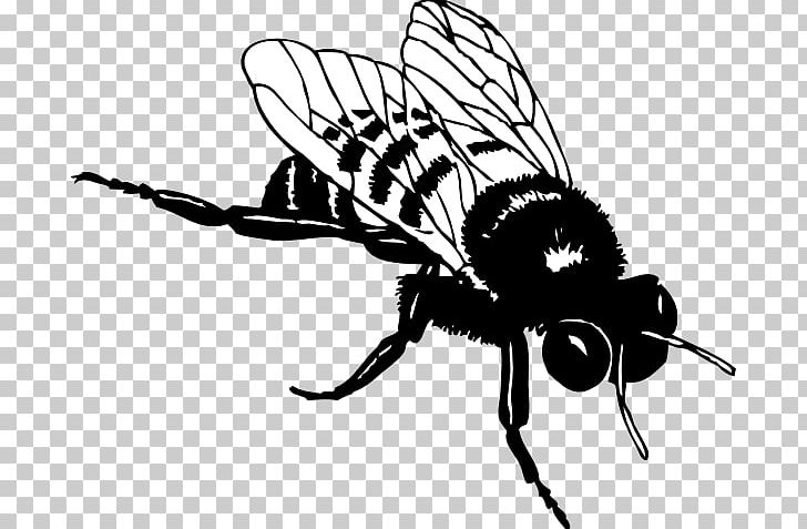 European Dark Bee Black And White Bumblebee PNG, Clipart, Arthropod, Artwork, Bee, Bee Silhouette Cliparts, Butterfly Free PNG Download