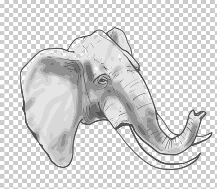 African Elephant Indian Elephant Elephantidae PNG, Clipart, Artwork, Autocad Dxf, Black And White, Bone, Circus Elephant Free PNG Download