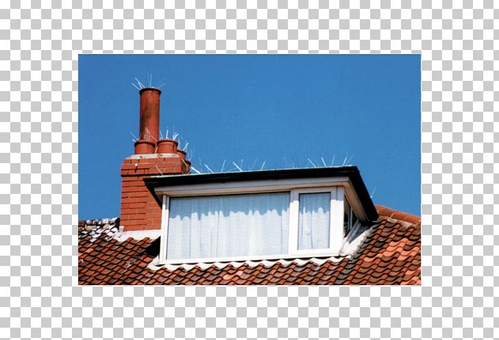 Chimney Roof Bird Control Pest Control PNG, Clipart, Bait, Bird, Bird Control, Black Rat, Chimney Free PNG Download