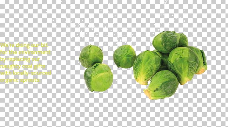Brussels Sprout Vegetarian Cuisine Food Cruciferous Vegetables Mustards PNG, Clipart, Brussels Sprout, Cruciferous Vegetables, Food, Fruit, Ingredient Free PNG Download