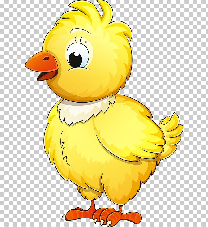 Chicken Drawing Illustration Graphics PNG, Clipart, Animal Figure, Animation, Art, Artwork, Beak Free PNG Download