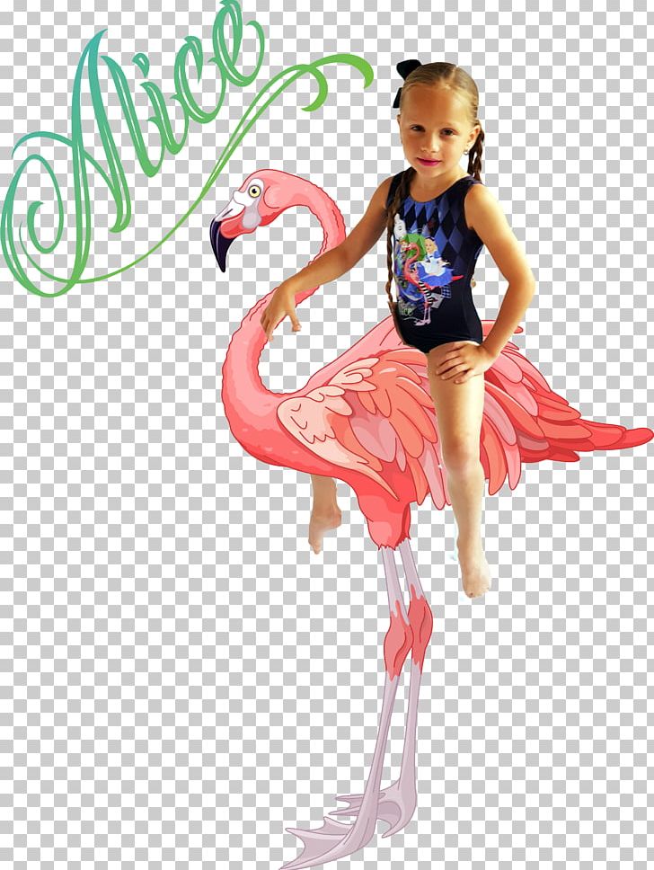 Greater Flamingo Stock Photography PNG, Clipart, Animals, Ballet Tutu, Bird, Bodysuits Unitards, Clothing Free PNG Download