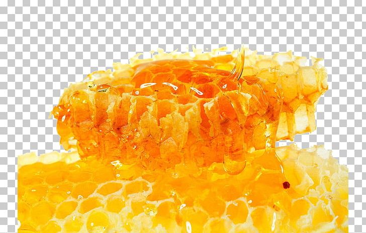 Honey Bee Honeycomb Food PNG, Clipart, Animals, Bee, Beehive, Beekeeping, Bees Honey Free PNG Download