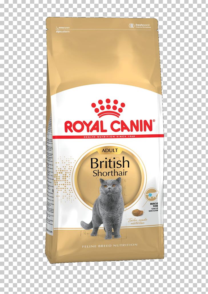 British Shorthair Royal Canin Cat Food British Shorthair Royal Canin Cat Food Persian Cat Dog PNG, Clipart, Animals, British Shorthair, Cat, Cat Food, Dog Free PNG Download