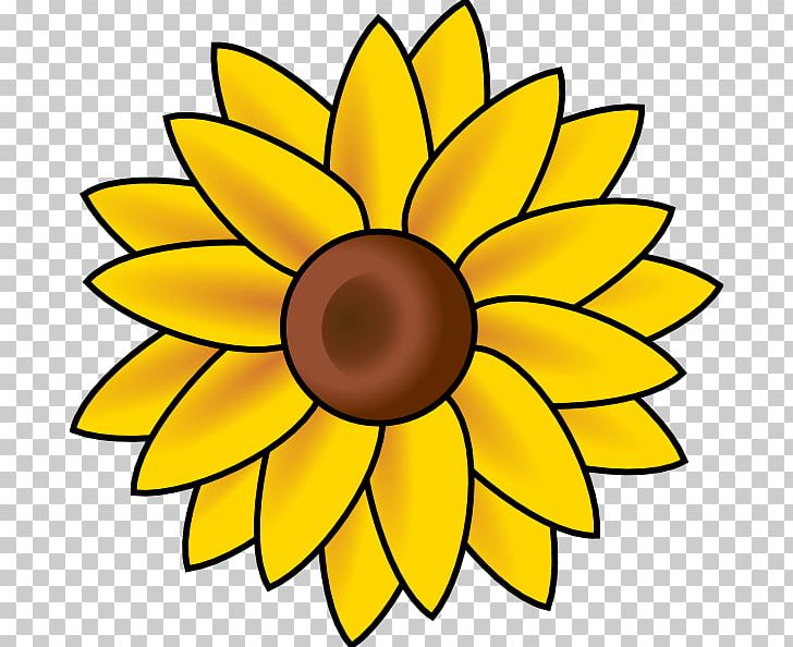 Common Sunflower PNG, Clipart, Art, Artwork, Circle, Common Sunflower, Computer Icons Free PNG Download