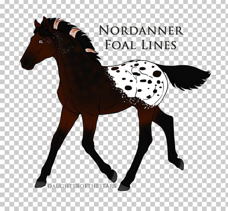 Mustang Foal Stallion Pony Mare PNG, Clipart, Animal Figure, Bridle, Buckskin, Colt, Foal Free PNG Download