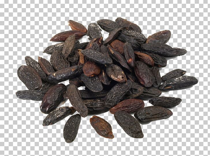 Tonka Beans Essential Oil Perfume Flavor PNG, Clipart, Anbau, Aroma, Castor Oil, Cocoa Bean, Commodity Free PNG Download