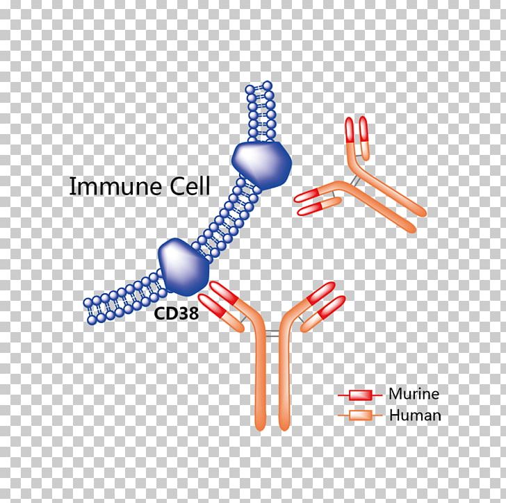 Trastuzumab Emtansine Pharmaceutical Drug Vemurafenib Rituximab PNG, Clipart, Angle, Antibody, Biogen, Brand, Diagram Free PNG Download