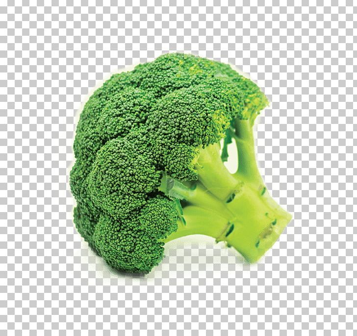 Broccoli Vegetable Organic Food Cauliflower Cabbage PNG, Clipart, Broccoli, Broccoli Extract, Broccoli Sprouts, Cabbage, Cauliflower Free PNG Download