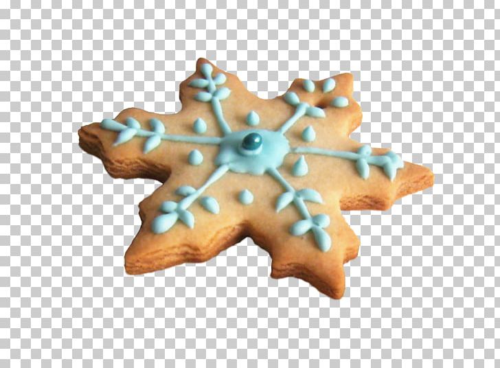 Fortune Cookie Biscuit Cookie Cutter PNG, Clipart, Baking, Biscuits, Blue, Blue Snowflake, Cartoon Snowflake Free PNG Download