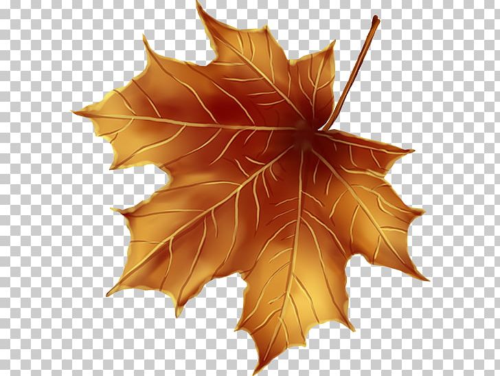 Maple Leaf Tree Decoupage PNG, Clipart, Animaux, Art, Barre, Christmas, Christmas Tree Free PNG Download