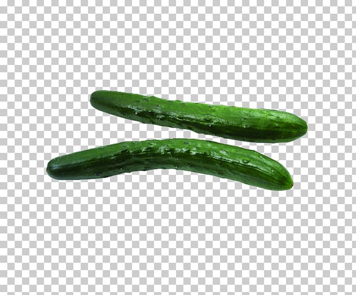 Cucumber Vegetable Food Bitter Melon Sugar PNG, Clipart, Bitter Melon, Capsicum Annuum, Cucumber, Cucumber Cartoon, Cucumber Gourd And Melon Family Free PNG Download