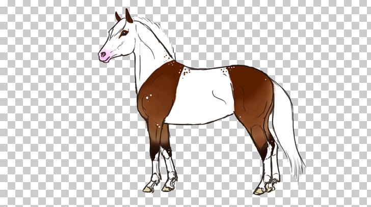 Foal Mane Stallion Horse Mare PNG, Clipart, Animals, Bridle, Colt, Equestrian, Equestrian Sport Free PNG Download