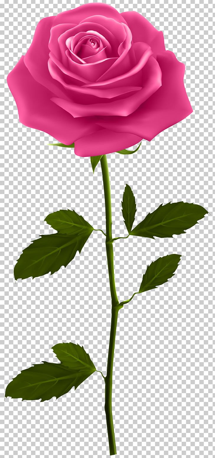 Rose Plant Stem PNG, Clipart, Art, Artificial Flower, Blue Rose, Bud, Clipart Free PNG Download