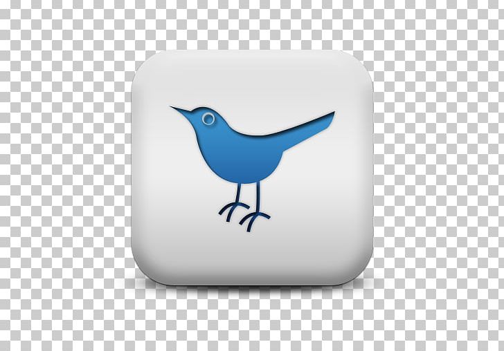 Social Media IFPE PNG, Clipart, Beak, Bird, Blog, Blue, Computer Icons Free PNG Download