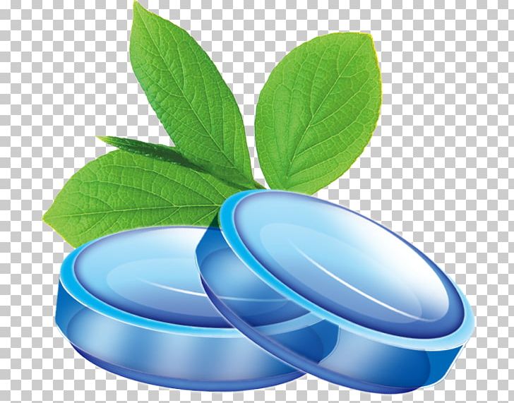 Water Mint Mentha Spicata Peppermint Mentha Canadensis PNG, Clipart, Blue, Candy, Computer Wallpaper, Euclidean Vector, Fresh Mint Free PNG Download