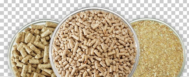 Broiler Cattle Poultry Feed Food Poultry Farming PNG, Clipart, Animal Feed, Animals, Broiler, Cattle, Cattle Feeding Free PNG Download
