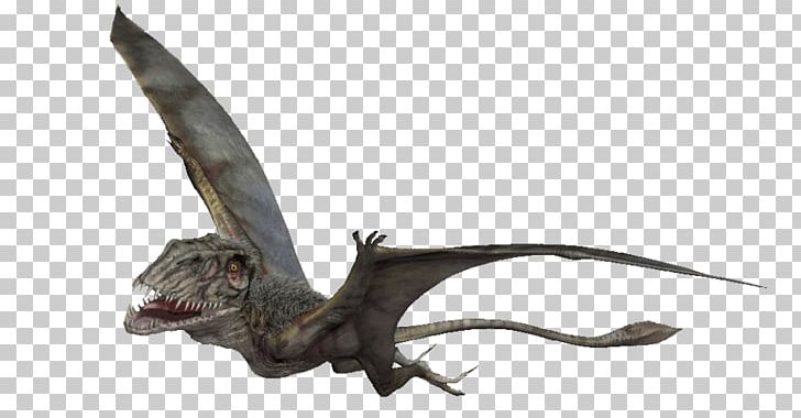 Dimorphodon Velociraptor Dinosaur Darwinopterus Pterosaurs PNG, Clipart, Animal Figure, Ankylosaurus, Apatosaurus, Darwinopterus, Dimorphodon Free PNG Download