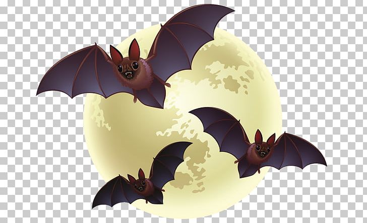 Halloween Bat PNG, Clipart, Animals, Computer Wallpaper, Costume, Creative Background, Creative Bat Free PNG Download