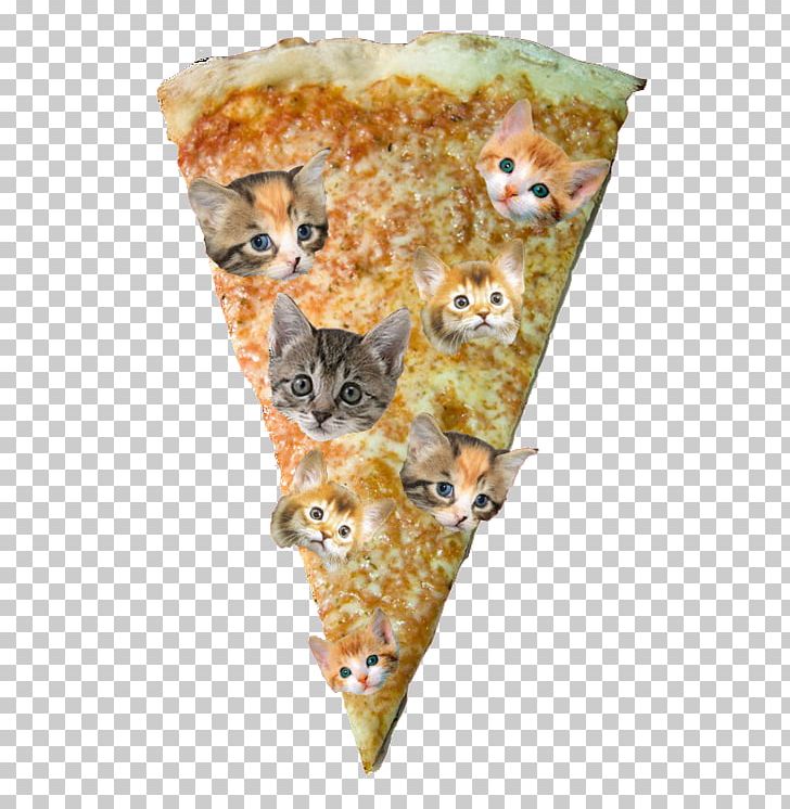 Pizza Hut Cat Kitten PNG, Clipart, Cat, Fur, Kitten, Pizza, Pizza Delivery Free PNG Download