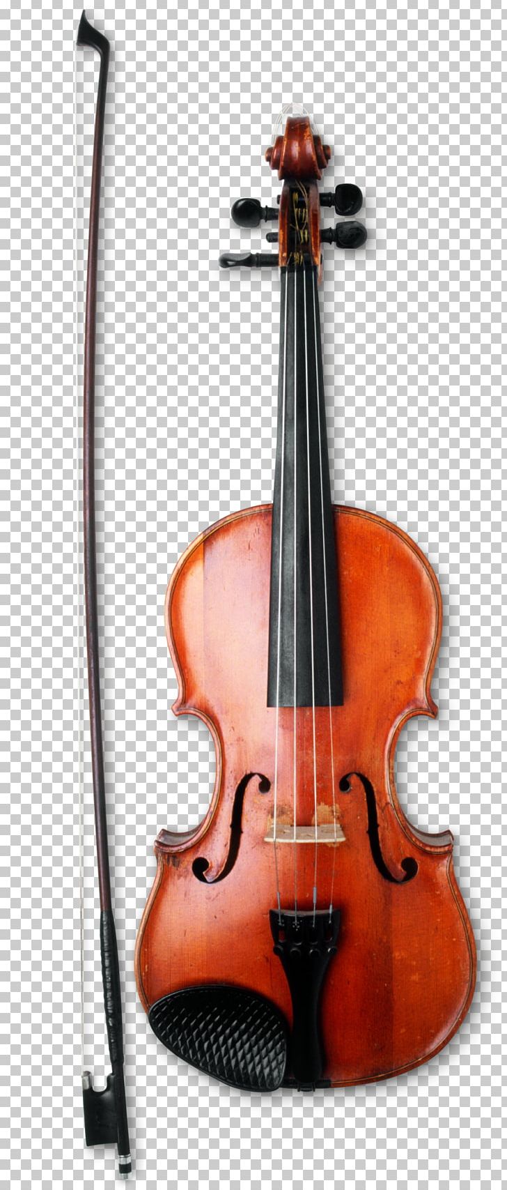 Violin Musical Instruments Bow String Instruments Viola PNG, Clipart, Bass Guitar, Bass Violin, Bluegrass, Bow, Bowed String Instrument Free PNG Download