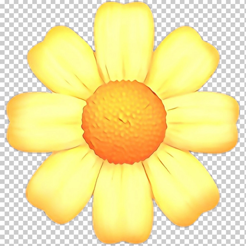 Yellow Petal Flower Plant Daisy Family PNG, Clipart, Daisy Family, Flower, Petal, Plant, Yellow Free PNG Download