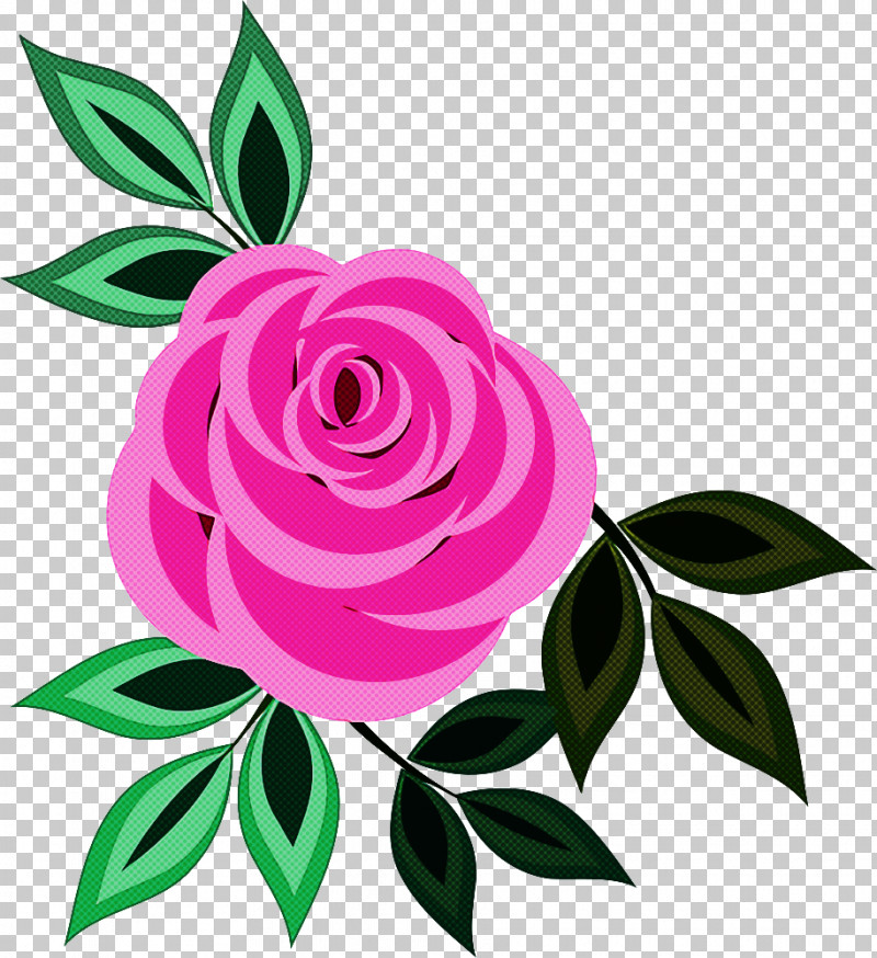 Garden Roses PNG, Clipart, Bud, Camellia, Cut Flowers, Floribunda, Flower Free PNG Download