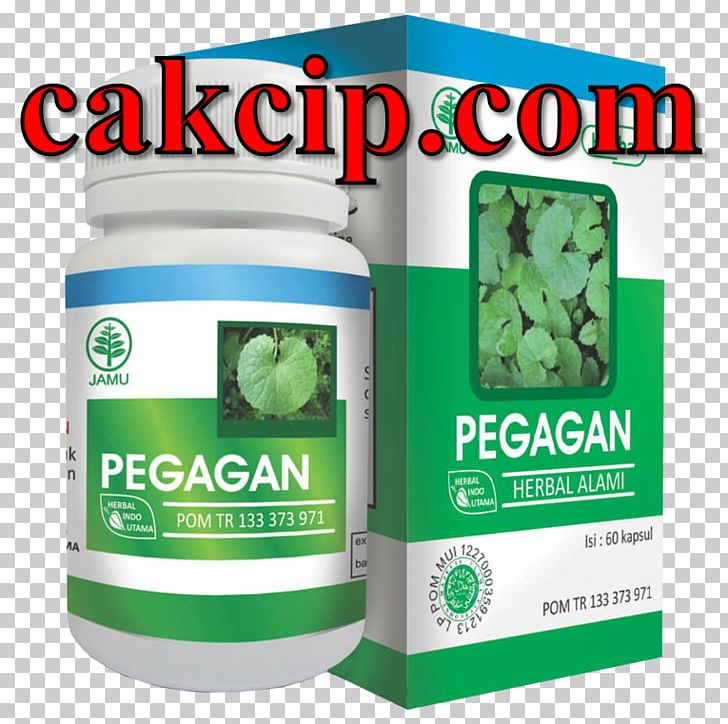 Centella Asiatica Herb Obat Tradisional Indonesia Leaf PNG, Clipart, Avocado, Brand, Capsule, Centella Asiatica, Drinking Free PNG Download