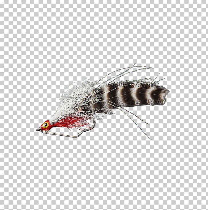 Insect Woolly Bugger Ephydridae Fly Fishing Everglades PNG, Clipart, 28 October, Animals, Bead, Everglades, Feather Free PNG Download