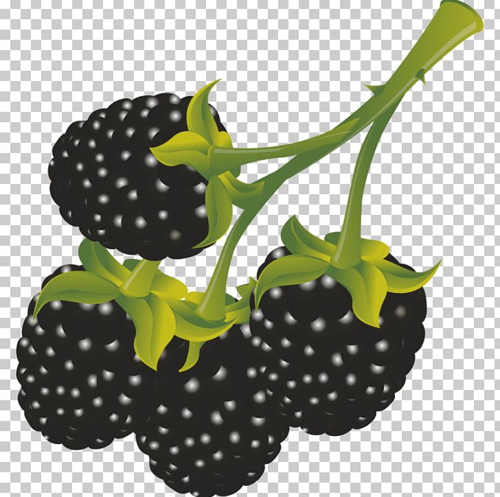 Berry Computer Icons Line Black Ink PNG, Clipart, Berry, Blackberry, Blackberry Fruit, Computer Icons, Food Free PNG Download