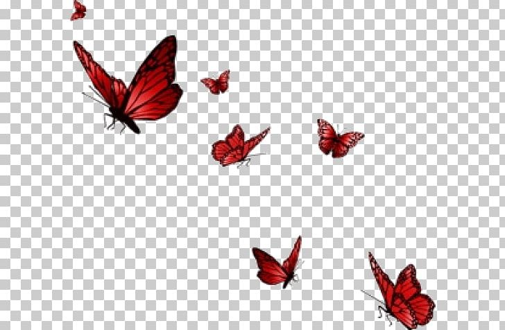 Butterfly Morpho Scrapbooking PNG, Clipart, Animal, Arthropod, Butterflies And Moths, Butterfly, Butterfly Clipart Free PNG Download