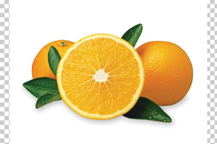 Orange Vietnamese Cuisine Juice Tangelo Fruit PNG, Clipart, Apple, Bitter Orange, Blood Orange, Citric Acid, Citron Free PNG Download