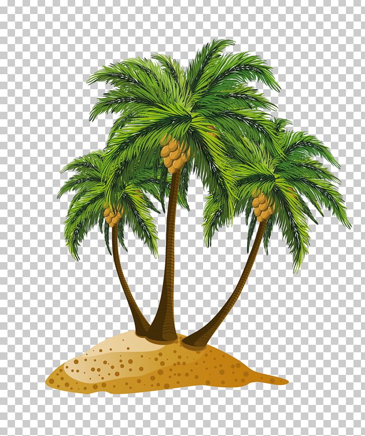 Panama City Beach PNG, Clipart, Arecaceae, Arecales, Beach, Clip Art, Coconut Free PNG Download